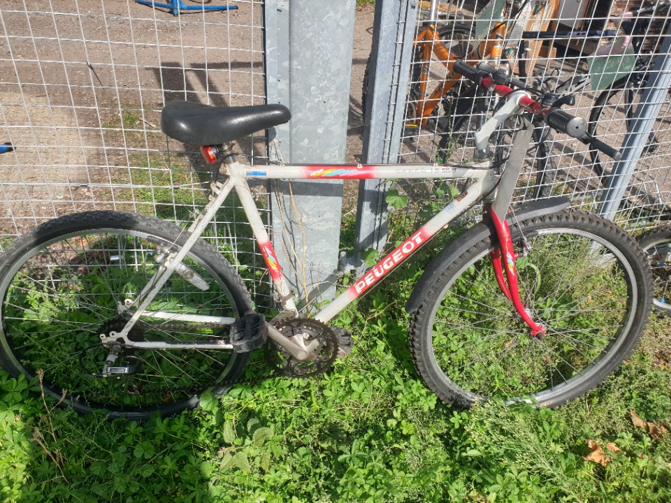 Peugeot Laser